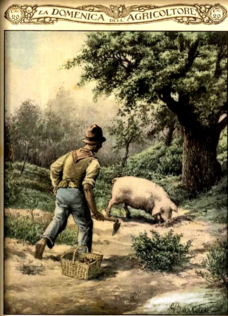 Italian truffle hunter